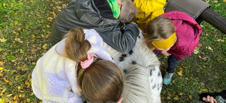 Unser PonyBesuchsdienst…