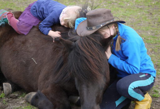 Willkommen auf den Seiten des ErgoLiNa-PonyClubs